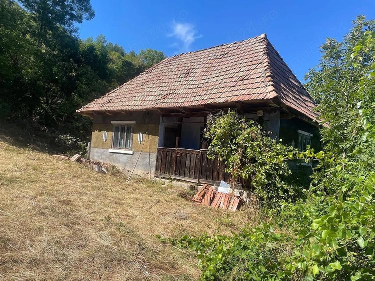 Casă cu 2 camere cu Teren 2000 Mp în Hodișu
