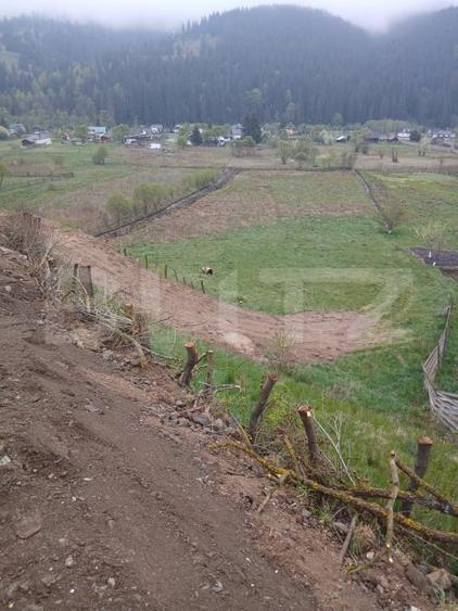Teren Construcții intravilan de 7500 mp, în Exterior Vest