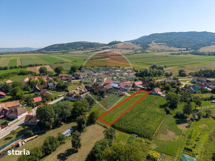 Teren de 1620 mp, în Comana