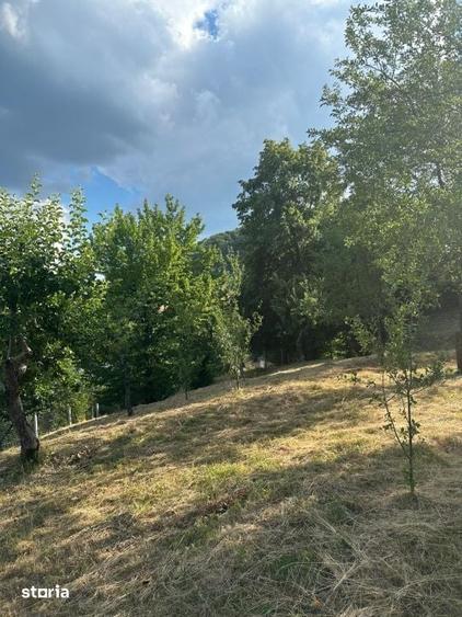 Teren intravilan de 62 ari Tautii-Magheraus, cartier Baita Baii - 3