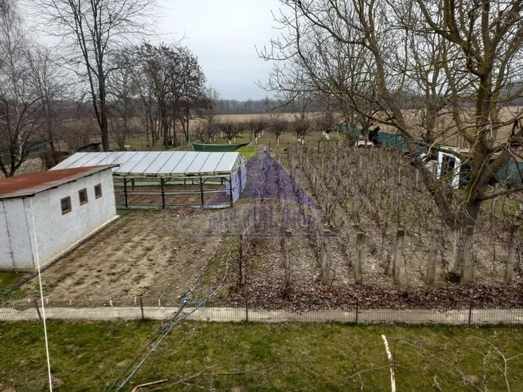 Casă individuală cu 6 camere cu Teren 2700 Mp în Nuci