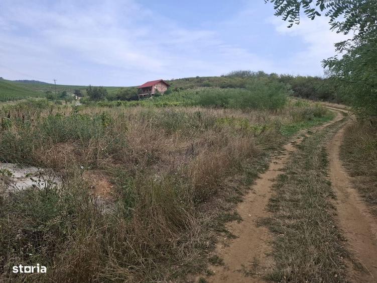 Spațiu comercial, în Ghioroc