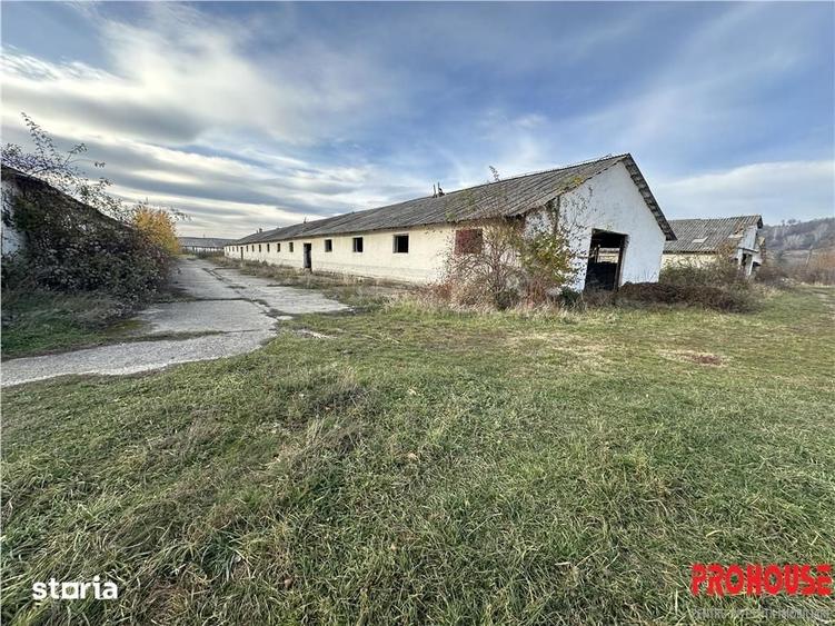 Teren de 27015 mp, în Racova