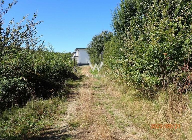 Teren Construcții intravilan de 1409 mp, în Cisnădioara