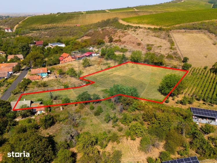 Teren de 4184 mp, în Ghioroc