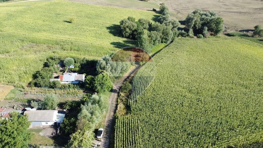 Teren agricol intravilan de 4400 mp, în Moara