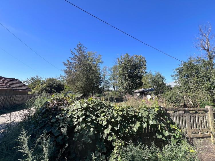 Casă cu 3 camere în Central