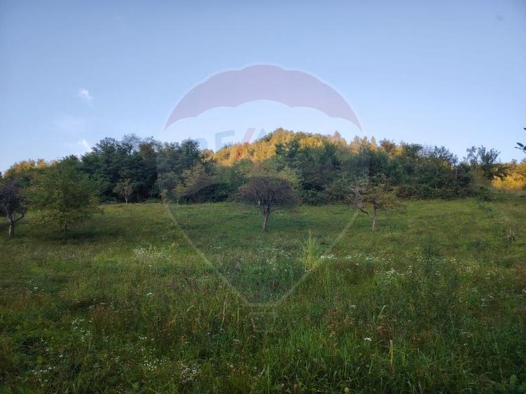 Teren Construcții intravilan de 2339 mp, în Bârsana