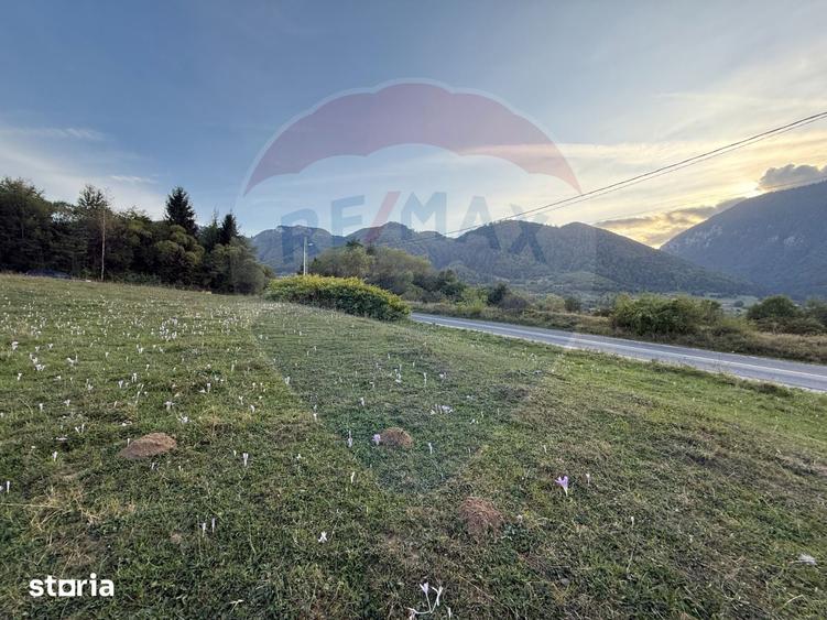 Teren de 646 mp, în Tohănița