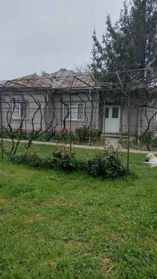 Casă cu 4 camere în Dăscălești