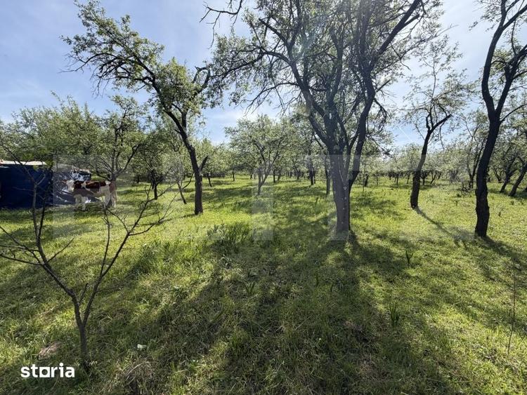 Teren de 700 mp, în Central