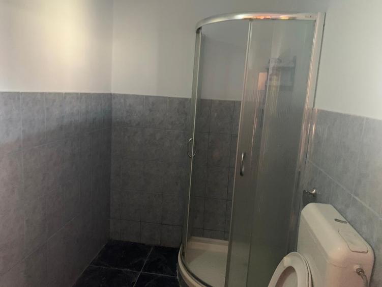 Casa 10 camere in Pancota - ID : RH-33315-property - 8