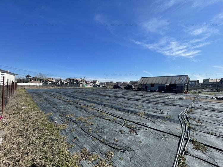 Teren Construcții intravilan de 4493 mp, în Mogoșoaia