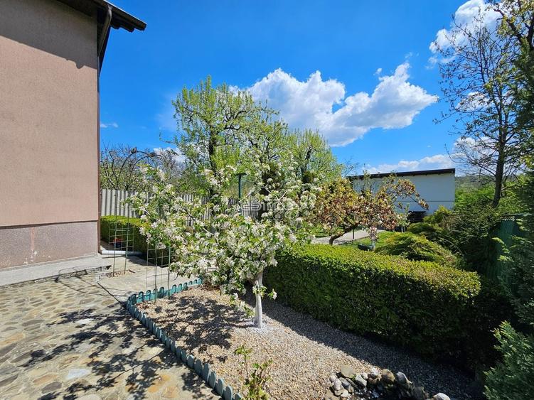 Locatie premium cu 2 constructii || Acces direct din DN71 – Dealu Mare, Dambovit - 22