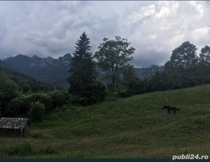 Teren de 10000 mp, în Izvoru