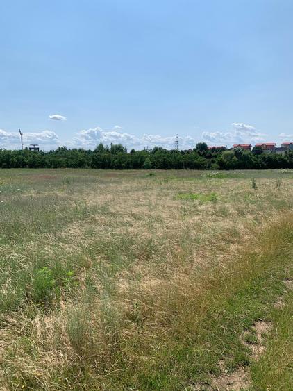 Teren Construcții intravilan de 7500 mp, în Voluntari