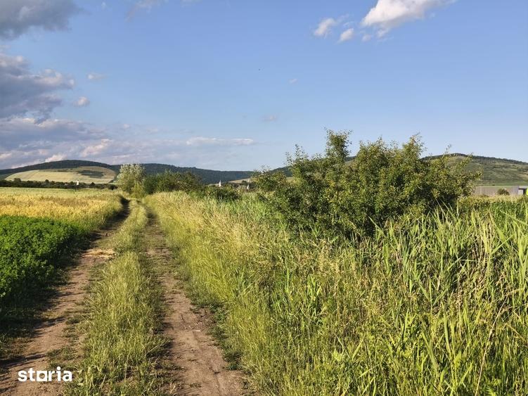 Teren de 559 mp, în Ernei