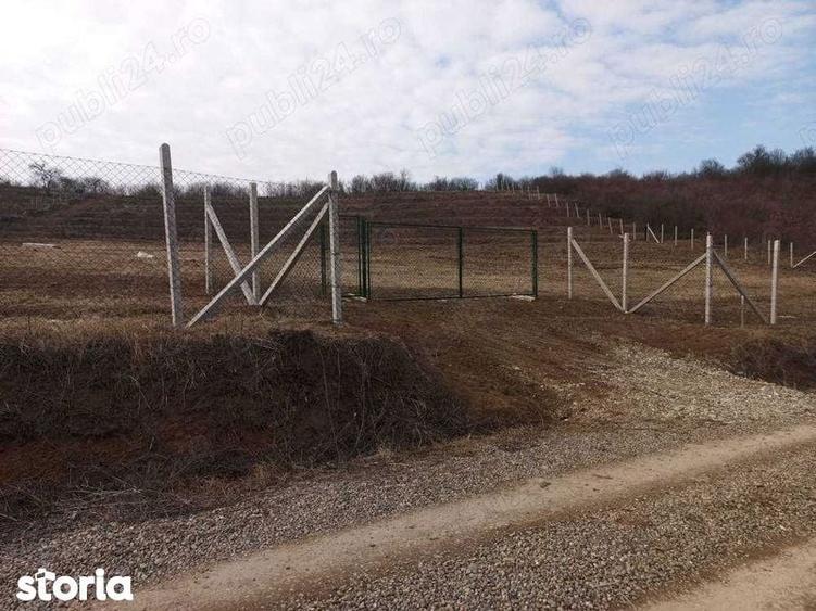 Teren de 9500 mp, în Podgoria