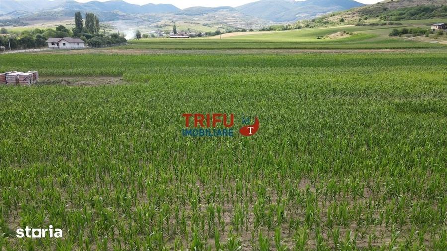 Teren de 1500 mp, în Ighiu