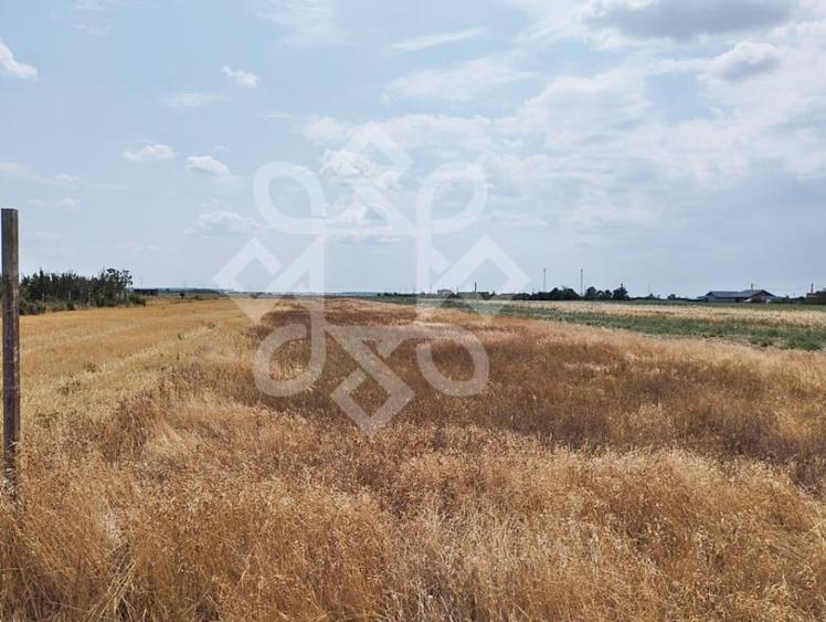 Teren intravilan de vanzare, 3000 mp in Gepiu, Bihor - 4