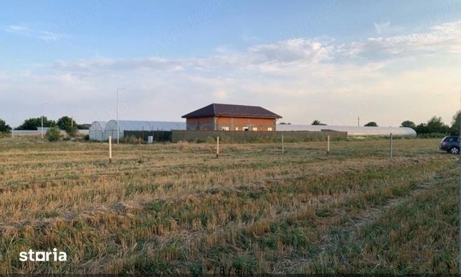 Teren Intravilan Copaceni Ilfov 1 Martie - 1