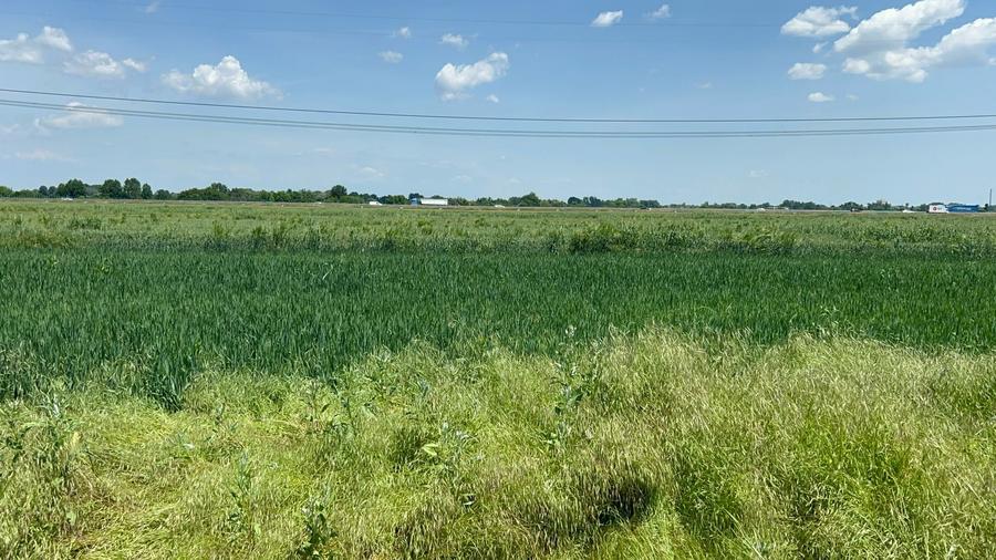 Teren Construcții intravilan de 400 mp, în Sud