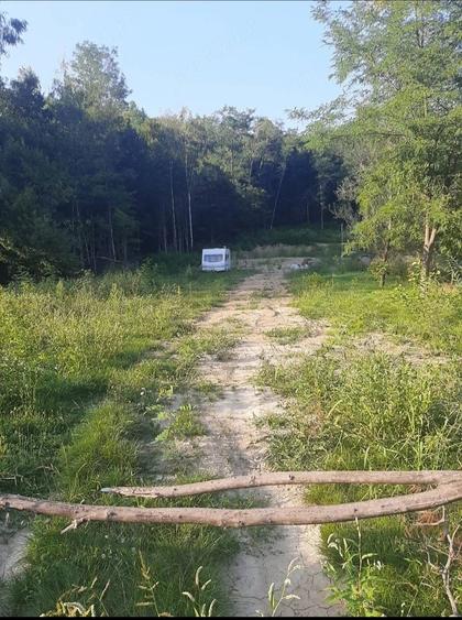 Teren de 2900 mp, în Secu