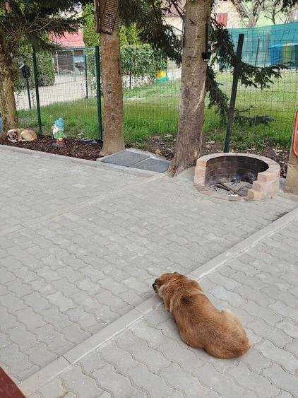 Teren în Fârdea