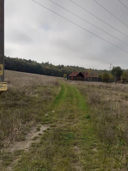 Teren Construcții intravilan de 11300 mp, în Corunca