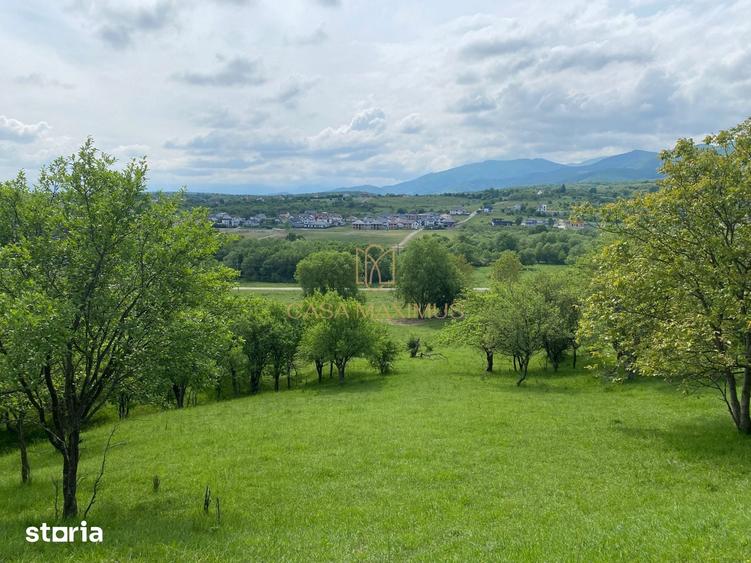 Teren de 3738 mp, în Central