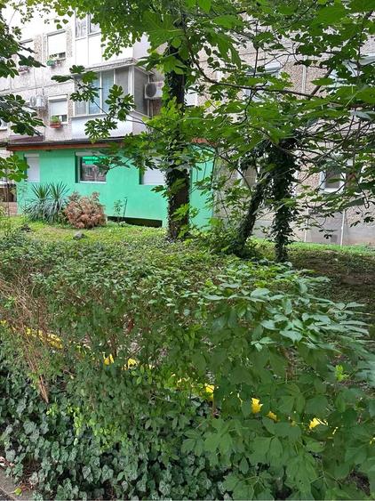 Apartament cu 3 camere semidecomandat în Dacia