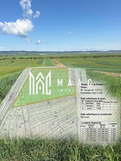 Teren extravilan 2393 mp | Gura Râului | acces, Carte Funciară - 2