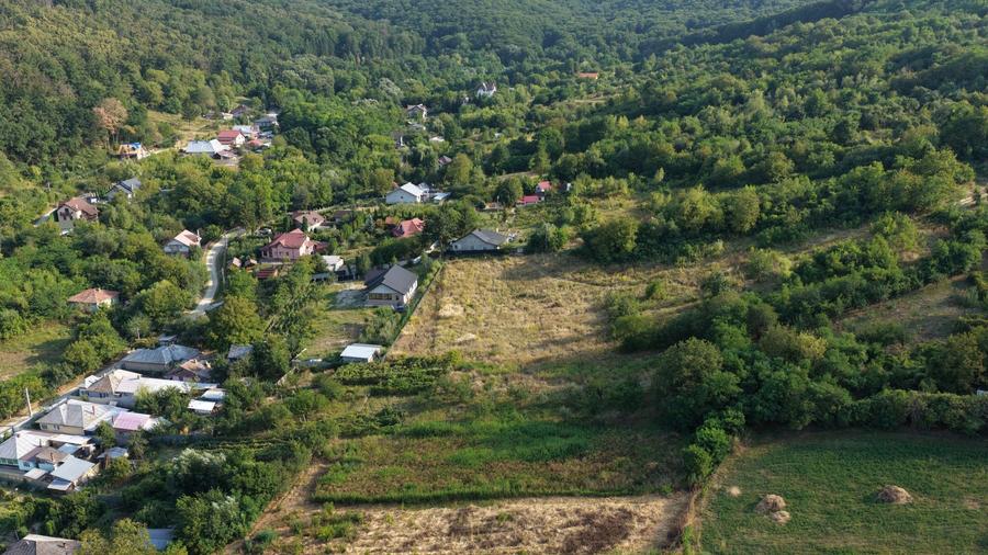 Teren Construcții intravilan de 8000 mp, în Gârlenii de Sus