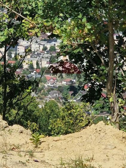 Casă cu 3 camere cu Teren 6000 Mp în Central