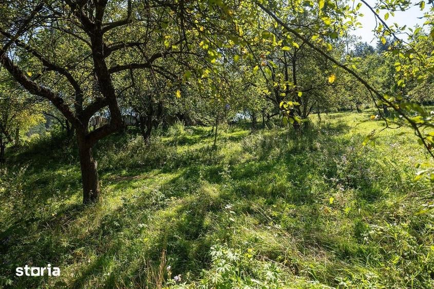 Casă cu 4 camere cu Teren 1000 Mp în Poiana Mărului