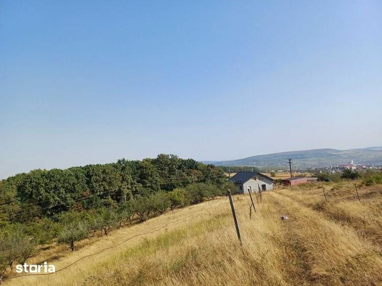 Teren de 25 mp, în Central