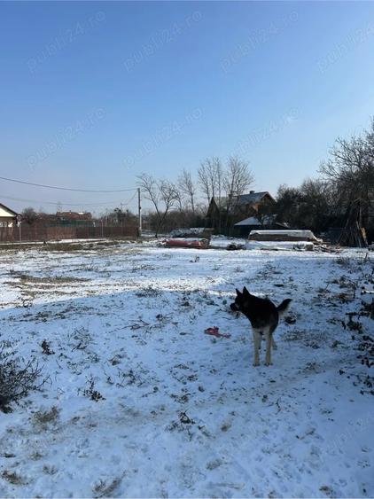 Casa si teren de vanzare - 7