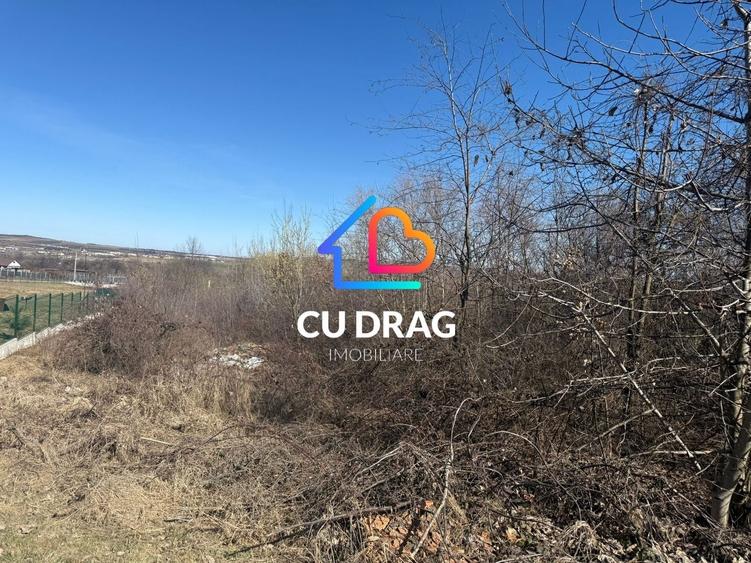 Teren intrevilan Sibiel cu toate utilitatile - 1