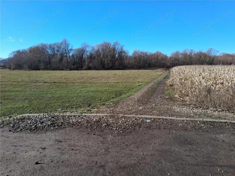 Teren intravilan 14780 mp, comision 0%, inTopolita, Neamt, pretabil afacere - 3