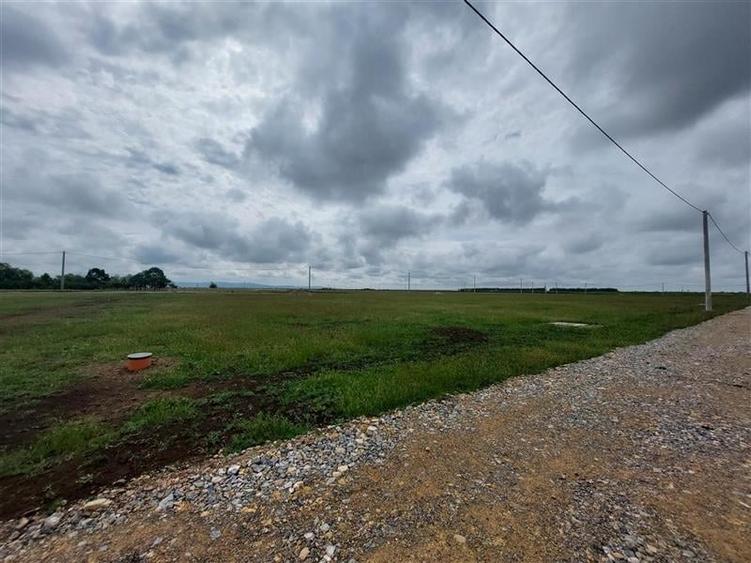 Oportunitate de investitie! Locuri de casa in cartier nou, Zimandcuz! - 5