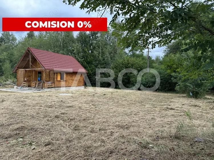 Teren intravilan 8000 mp cu anexa gospodareasca in Vistisoara - 7