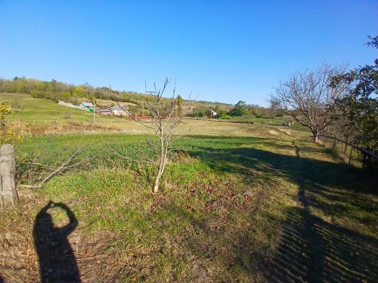 Vand casa batranesca - 3