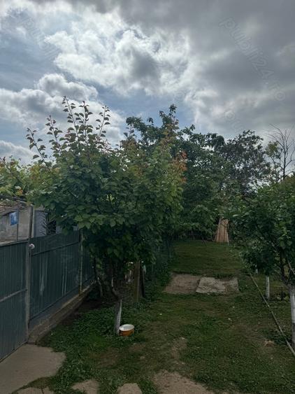 Vand casa in Ceamurlia de sus - 5