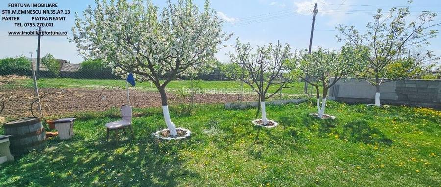 Proprietate Slobozia-Roznov, casa mansardata, teren si livada