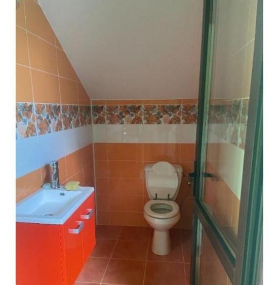 Inchiriere Vila P+1+M in Jilava - 3