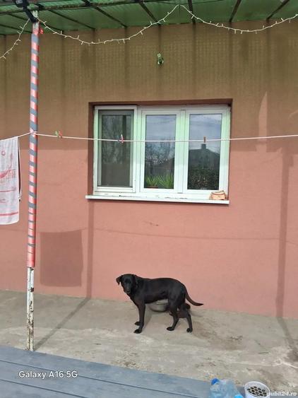 casa de vanzare - 2
