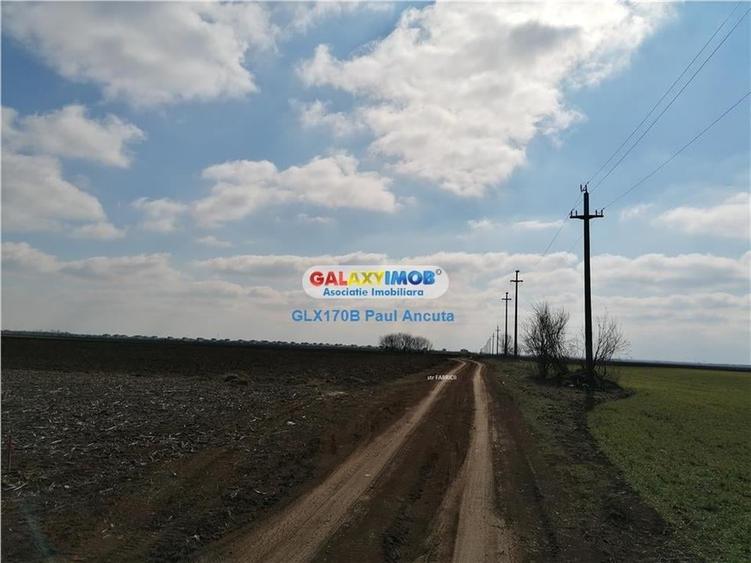 Teren Balotesti 12500 mp acces la str Fabricii cu Fantanii - 1