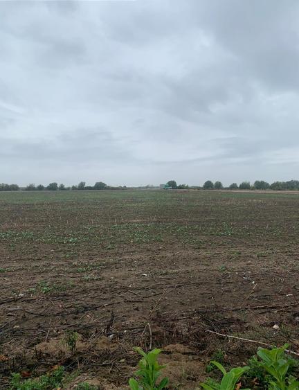 Tunari Libao Vanzare  teren intravilan suprafata  22509mp - 2