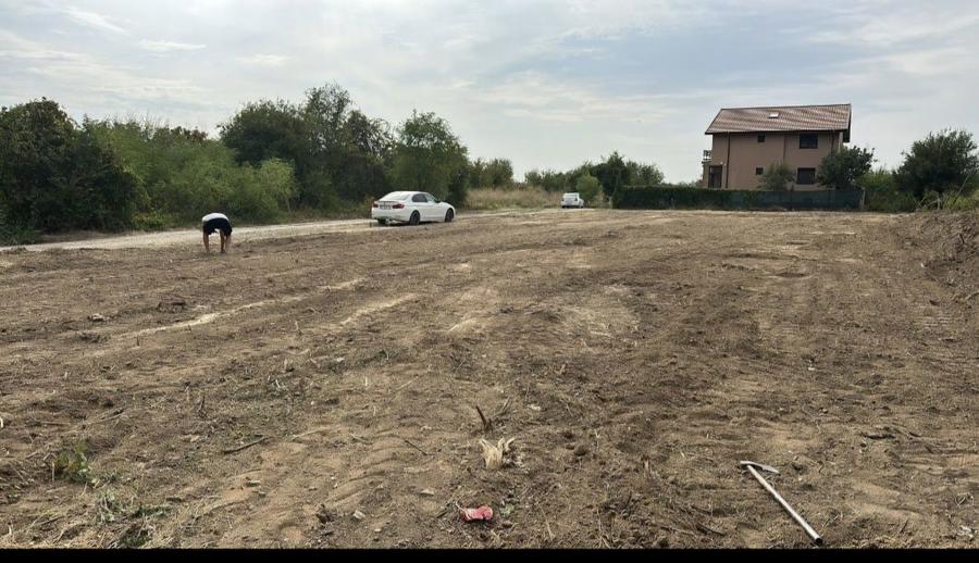 Teren de Vanzare la padure si lac Cernica Caldararu 1000metri - 4