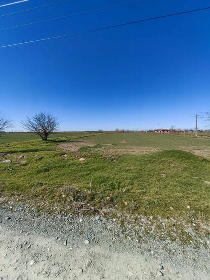 Teren 7.061 mp de vanzare Dropia, Tortomanu | 5/mp | Parcelabil - 3